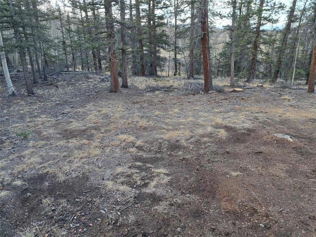 Picture 21