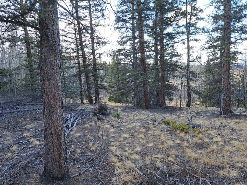 Picture 23