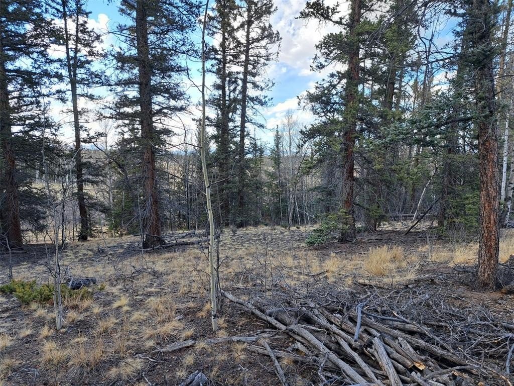 Picture 30