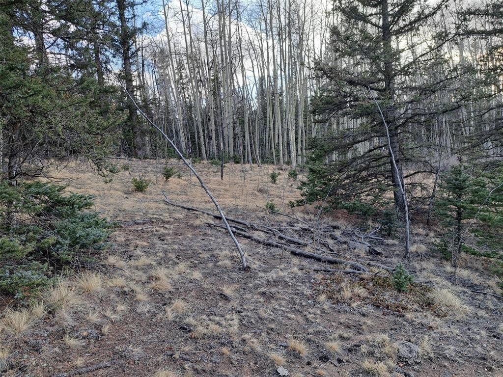 Picture 22