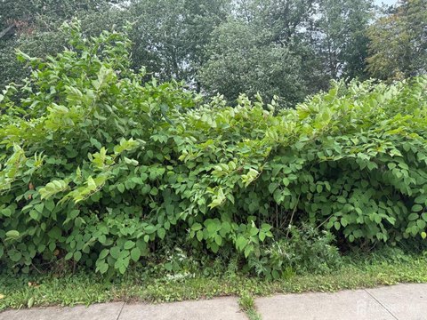 LAND - Piscataway, NJ