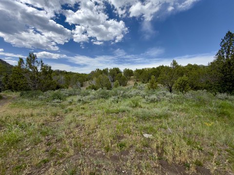 Recreational Land Tract