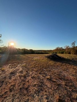 Spacious Homesite in Seale, AL