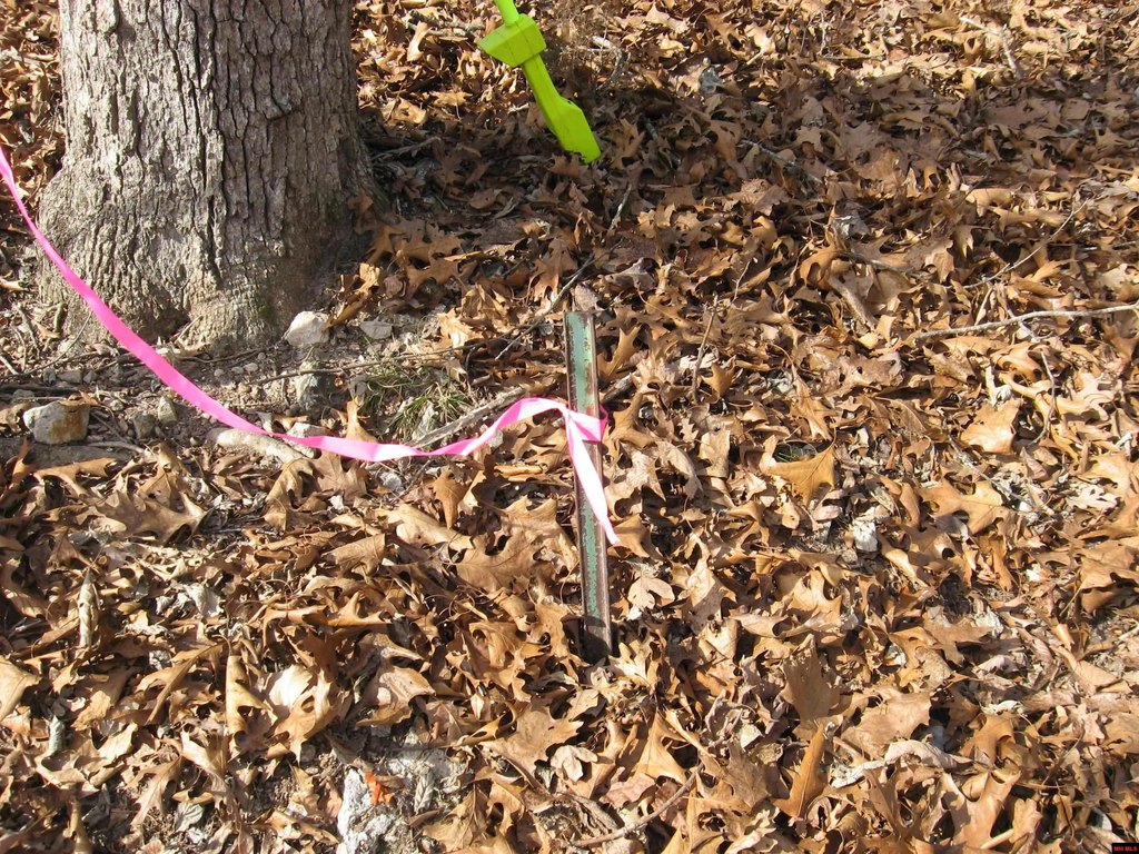 Picture 4