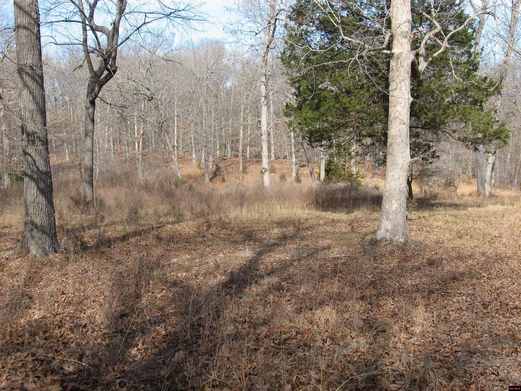 Picture 10
