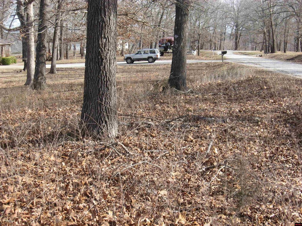 Picture 8