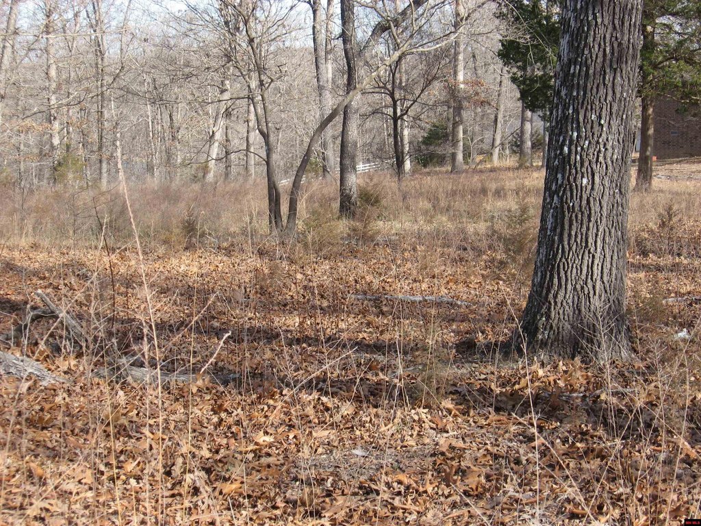 Picture 9