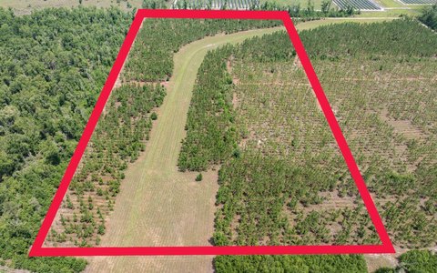 Vacant Land, Live Oak, FL