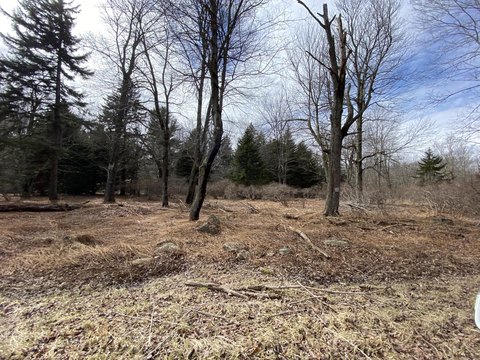 Pocono Lake Land For Sale