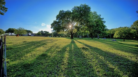 Saint Jo Acreage with Trees