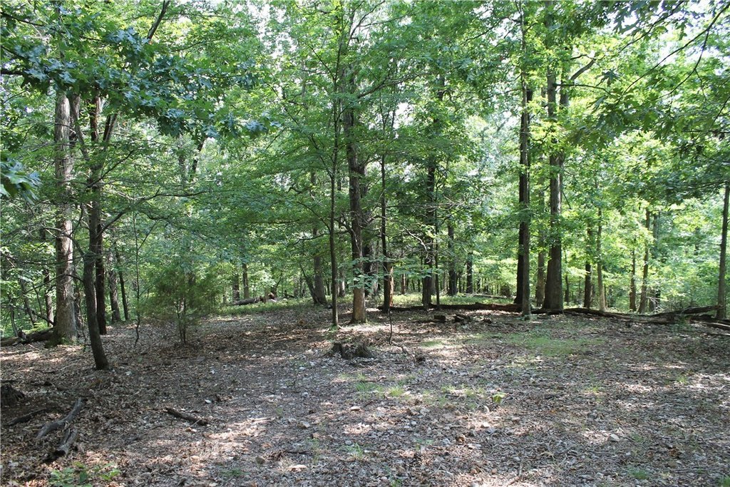 Picture 20