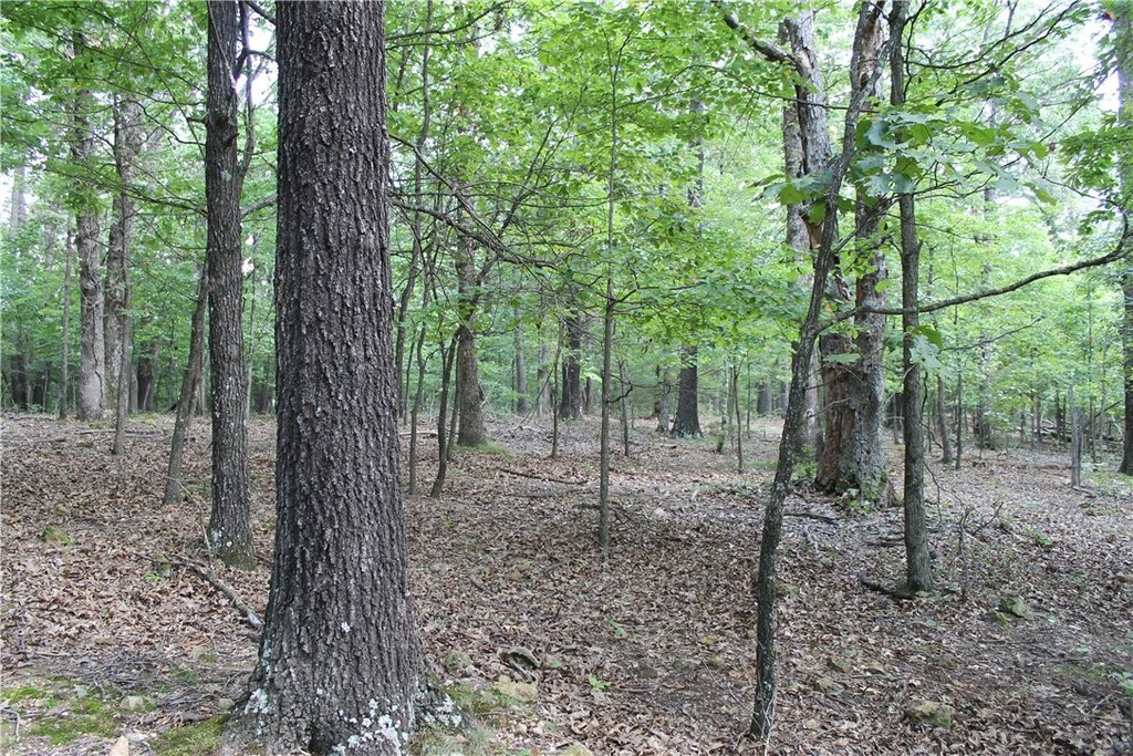 Picture 18