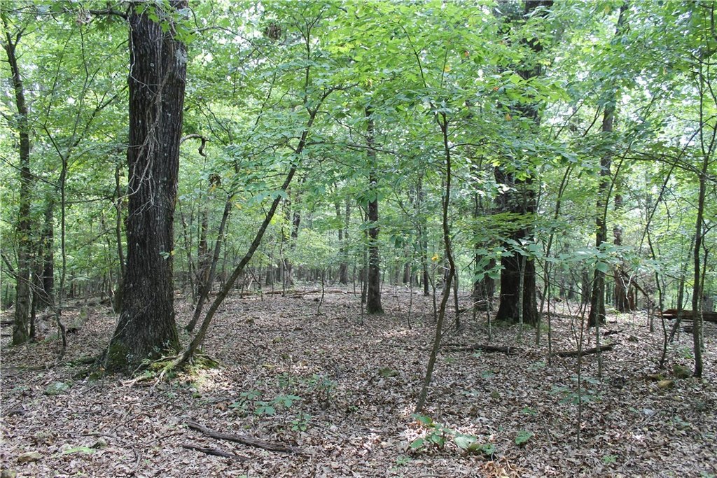 Picture 16