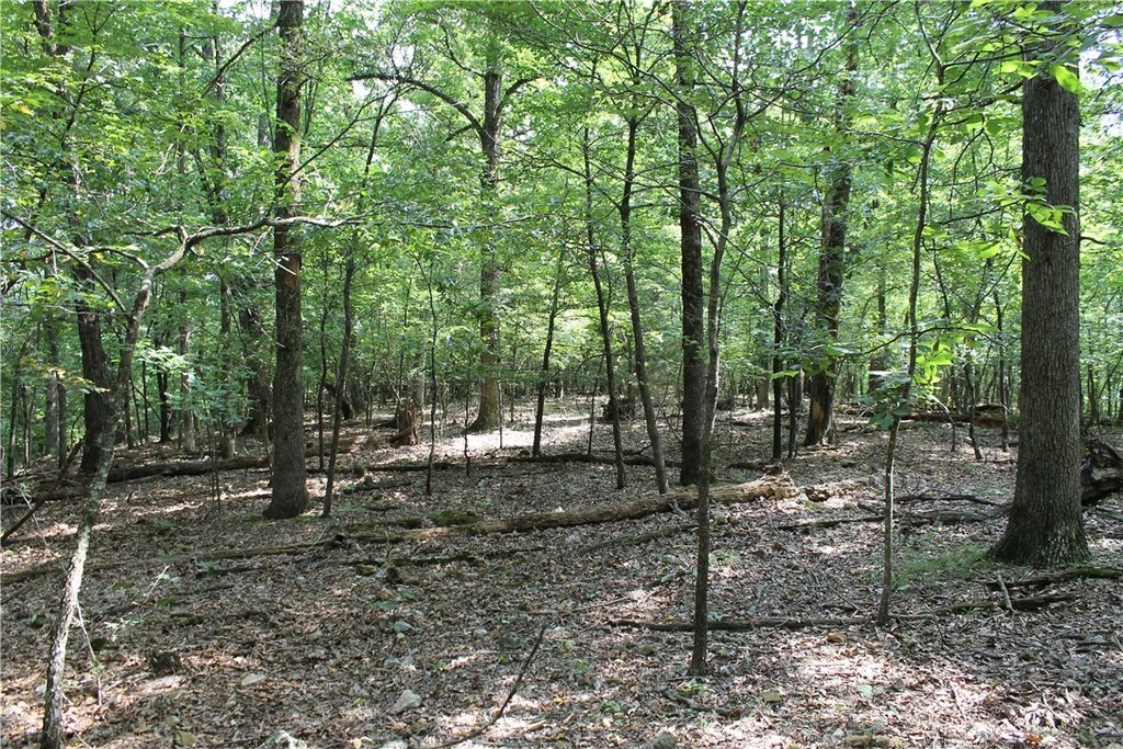 Picture 14
