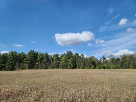 Land, Phillips, WI