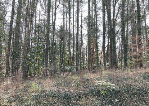 Land, Tallapoosa, GA