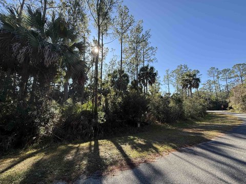 LAND - St Marks, FL
