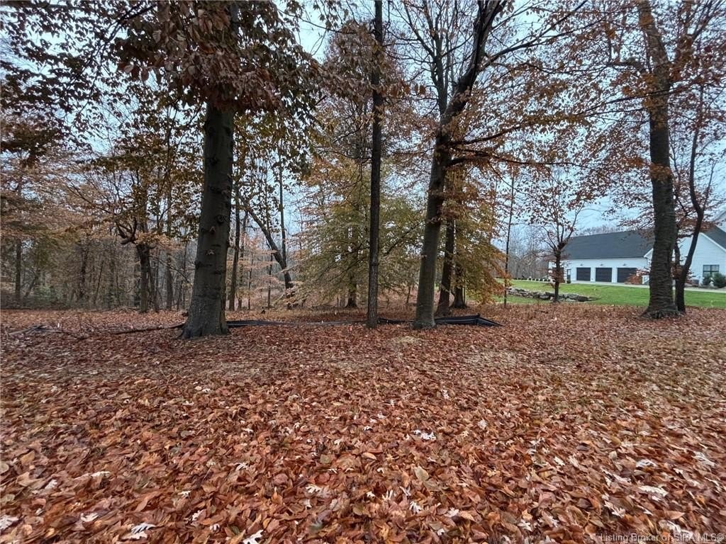 Picture 9