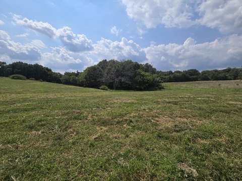 46 Acres in the Ozarks