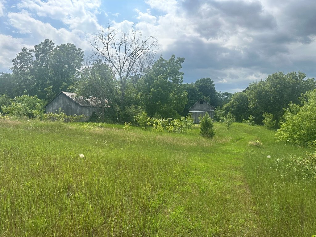 Picture 5