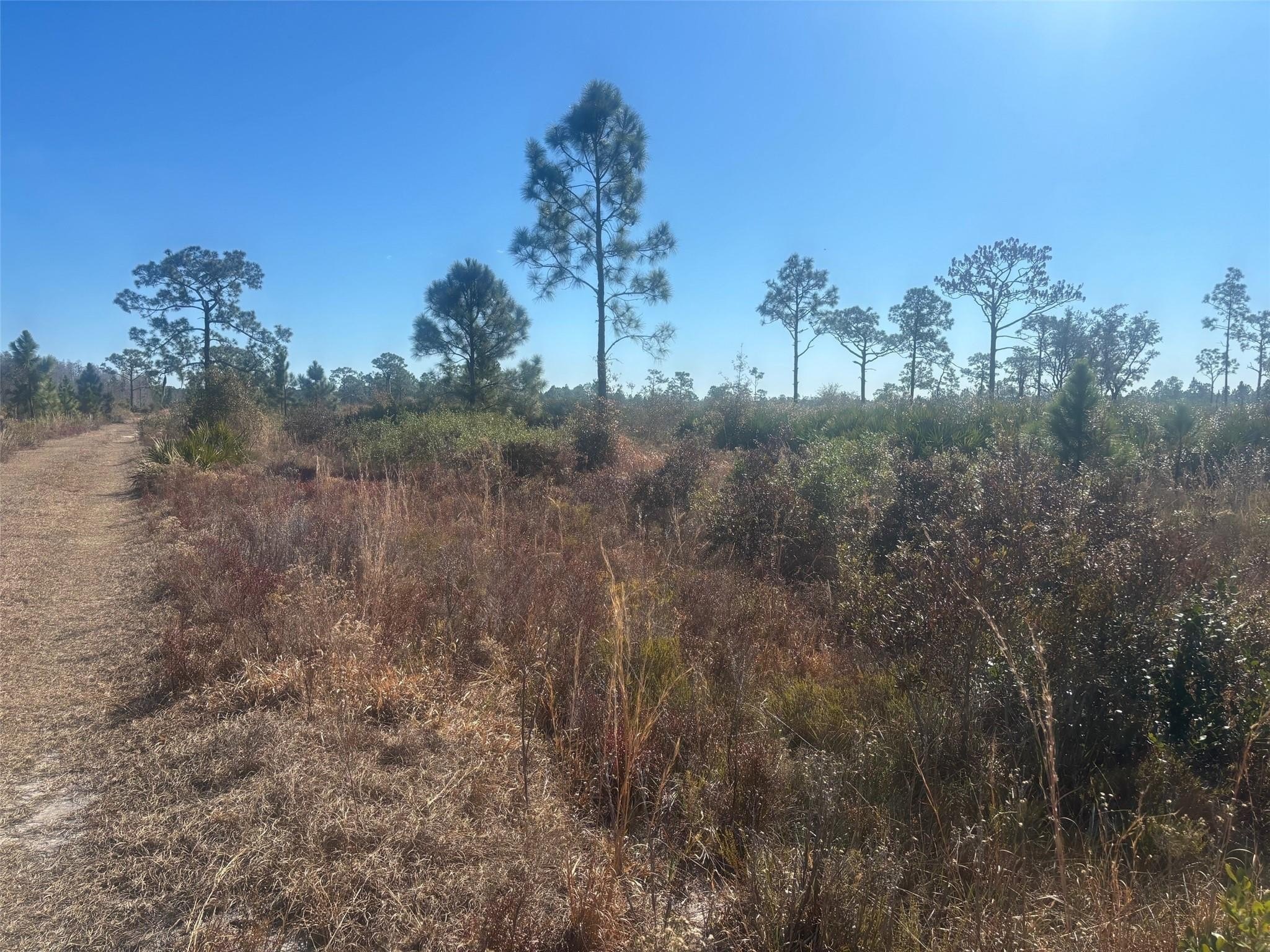 Manageable Recreational or Agricultural Property