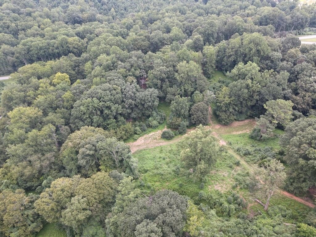 Picture 36