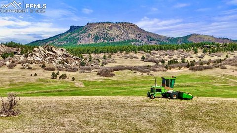 Larkspur Land: Build Your Dream
