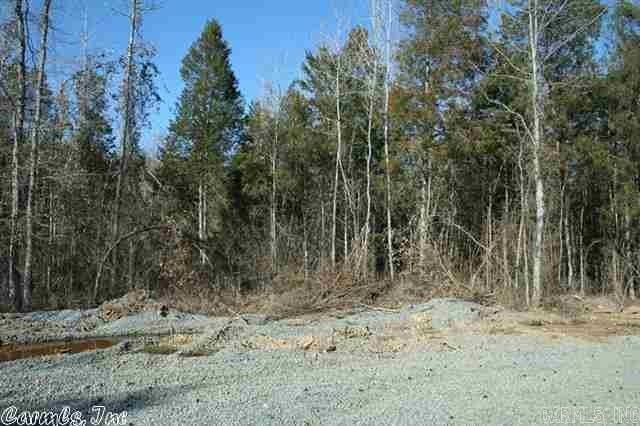 Picture 11