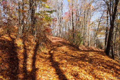 Scaly Mountain Wooded Land For Sale