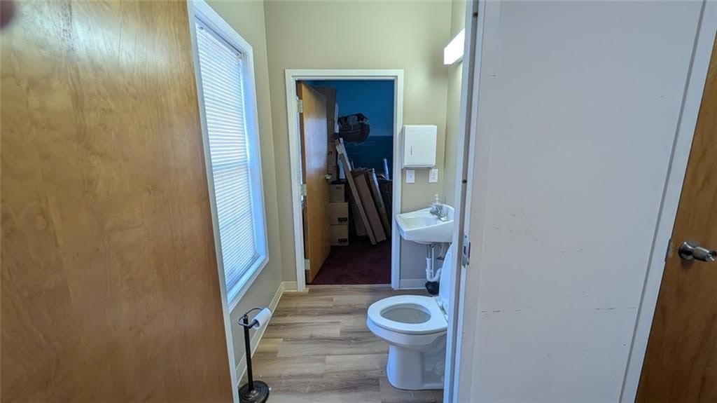 Picture 21