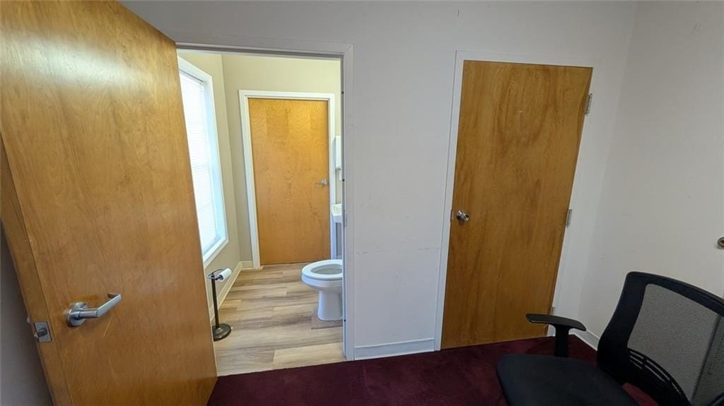 Picture 17