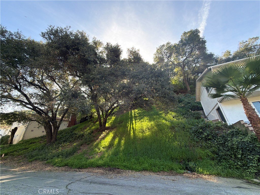 Glendale Land in Chevy Chase