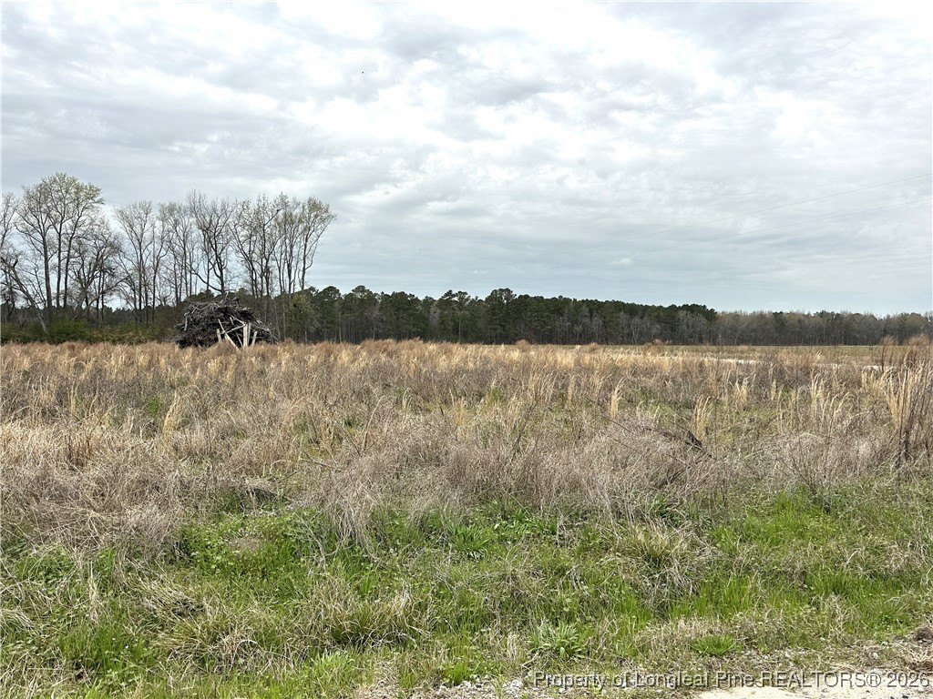 Lumber Bridge Land For Sale