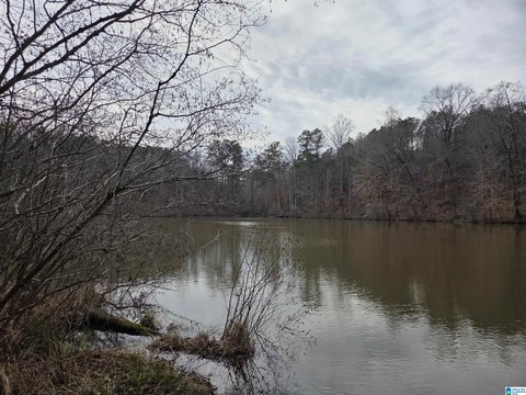 32 Acres Homesite with Pond