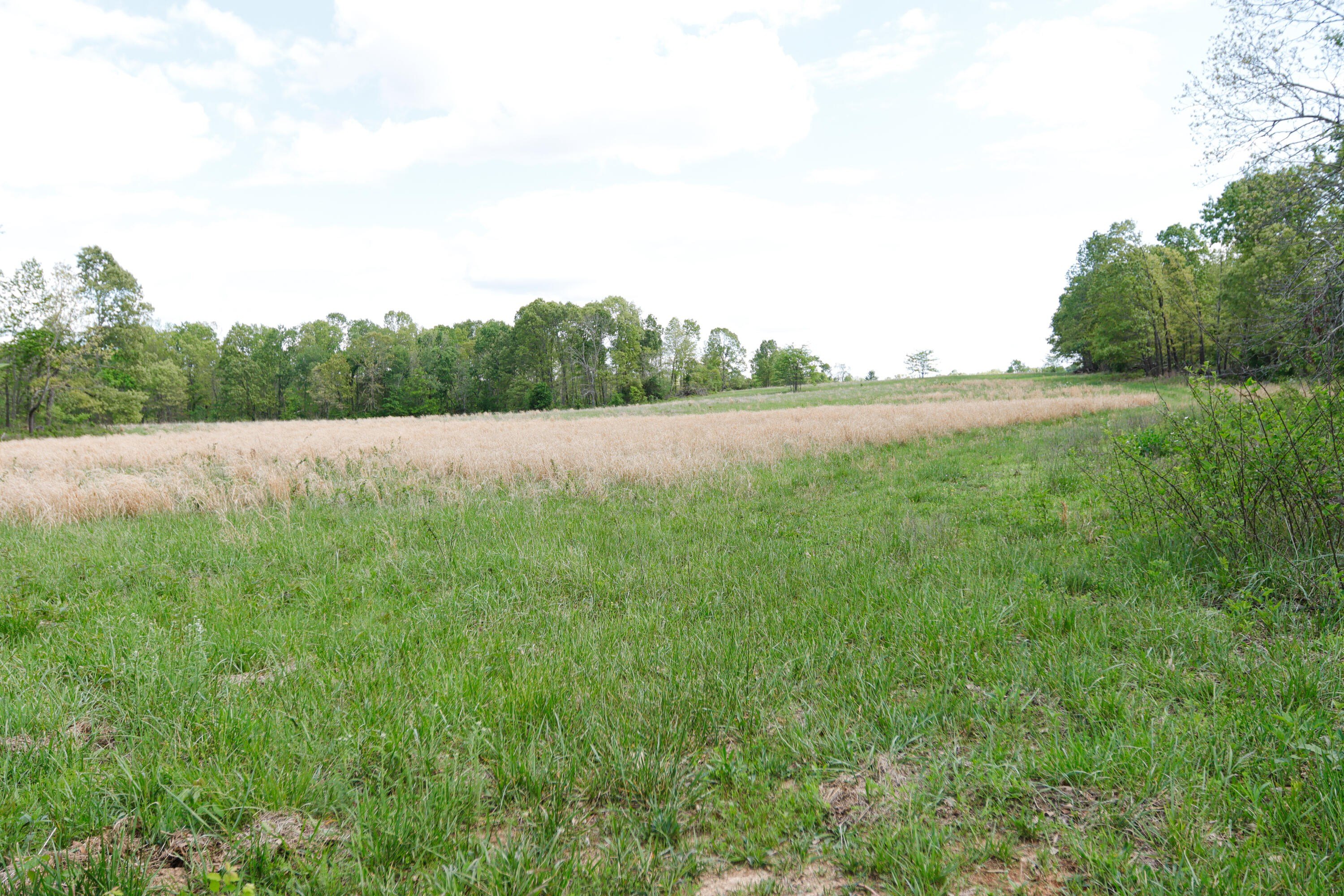 Ozarks Land with Lush Pasture