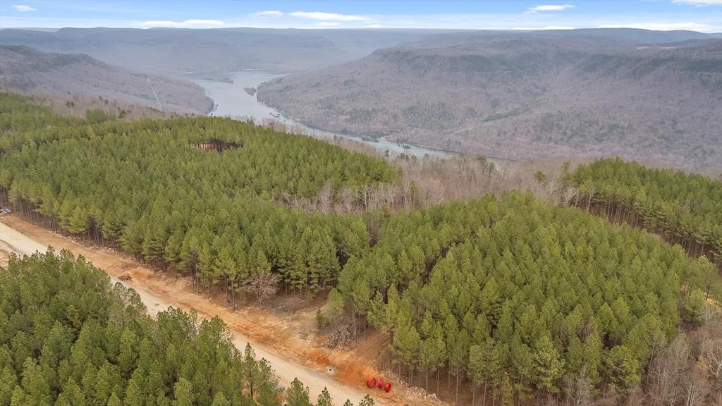 Picture 30