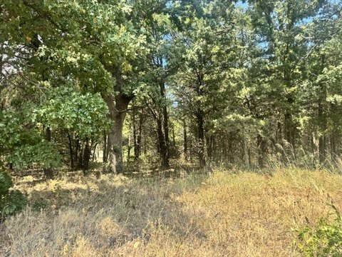 Land, Gordonville, TX