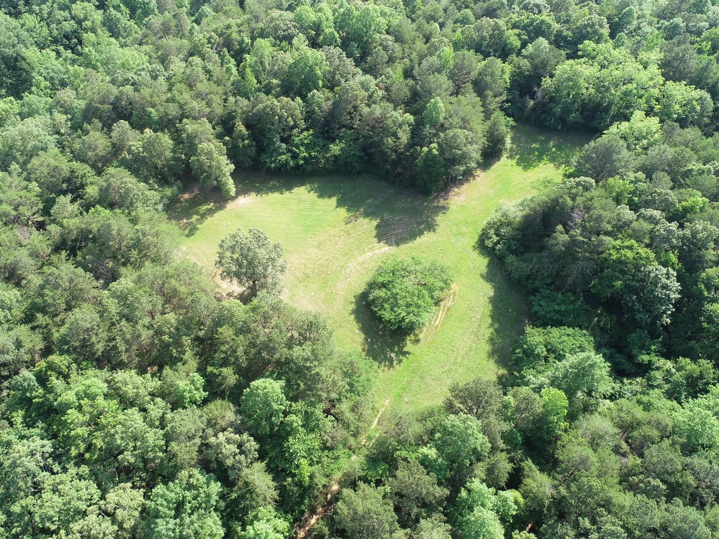 149 Acres Near Haleyville