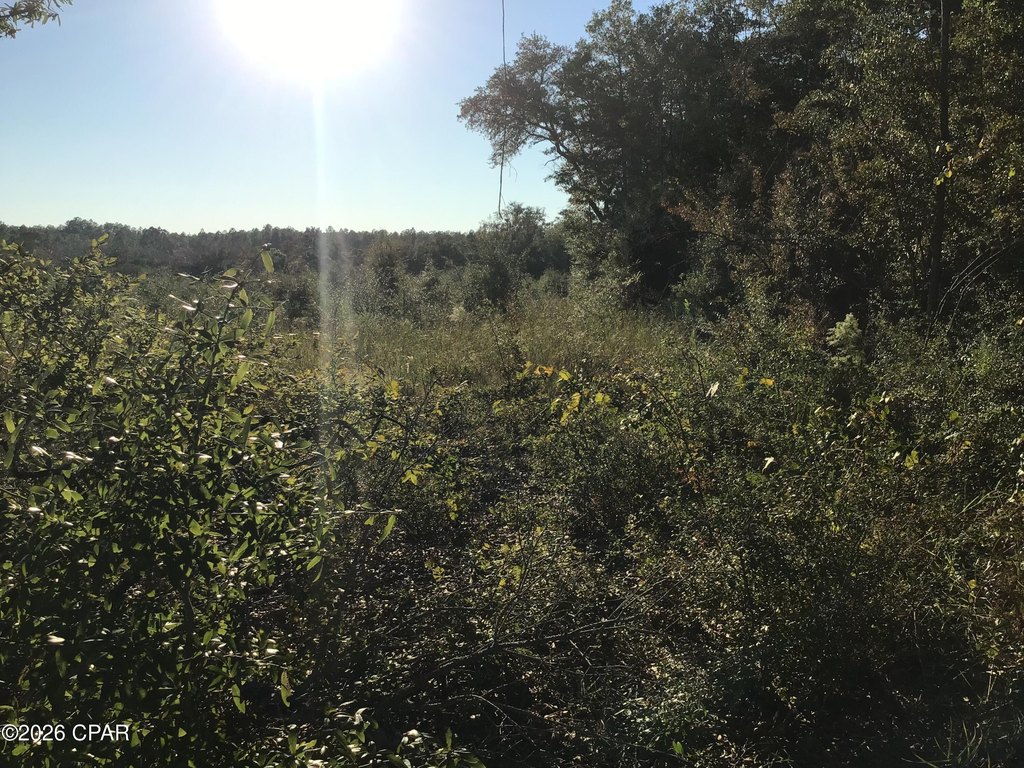 Picture 3