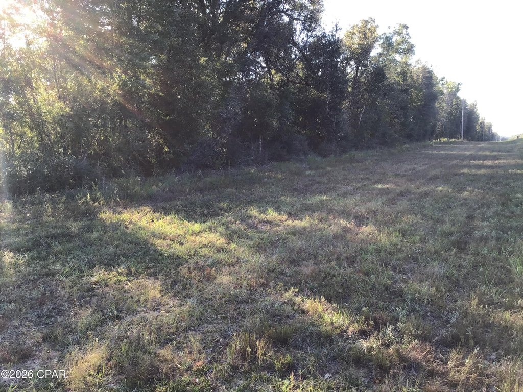 Picture 4