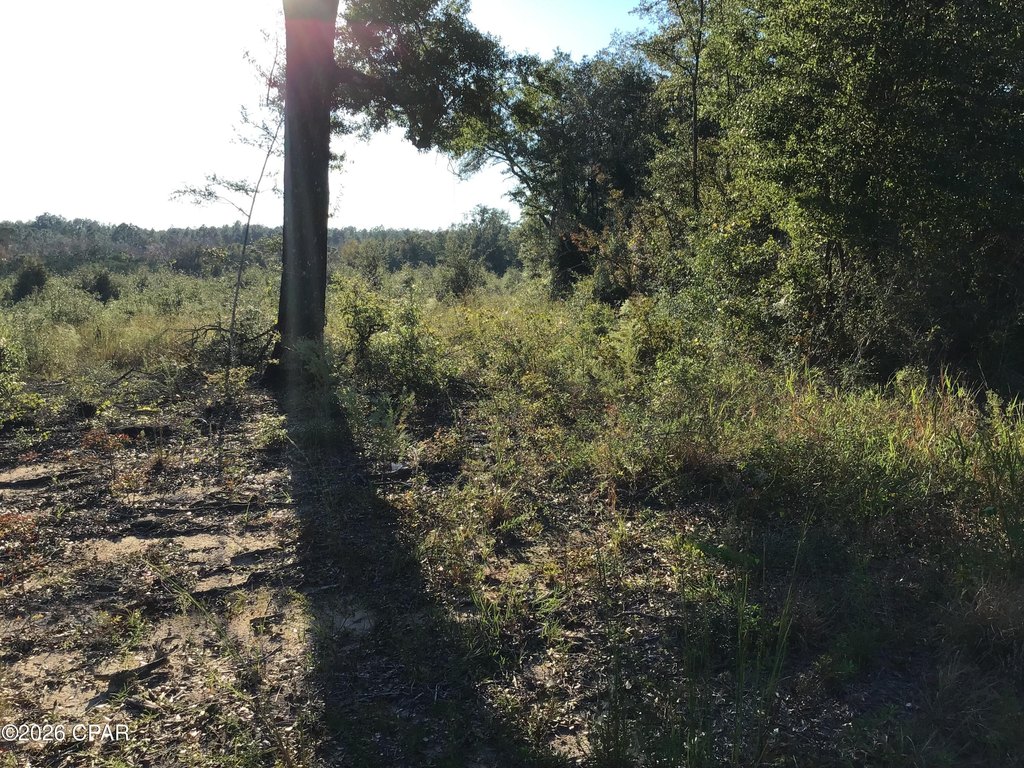 Picture 6