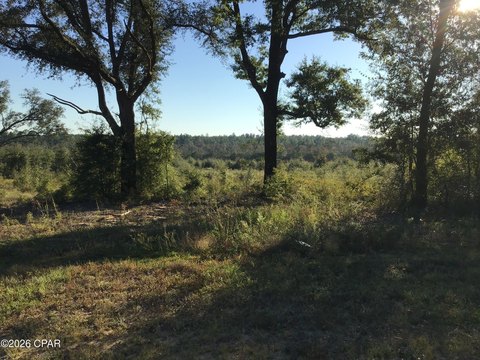 Land, Caryville, FL