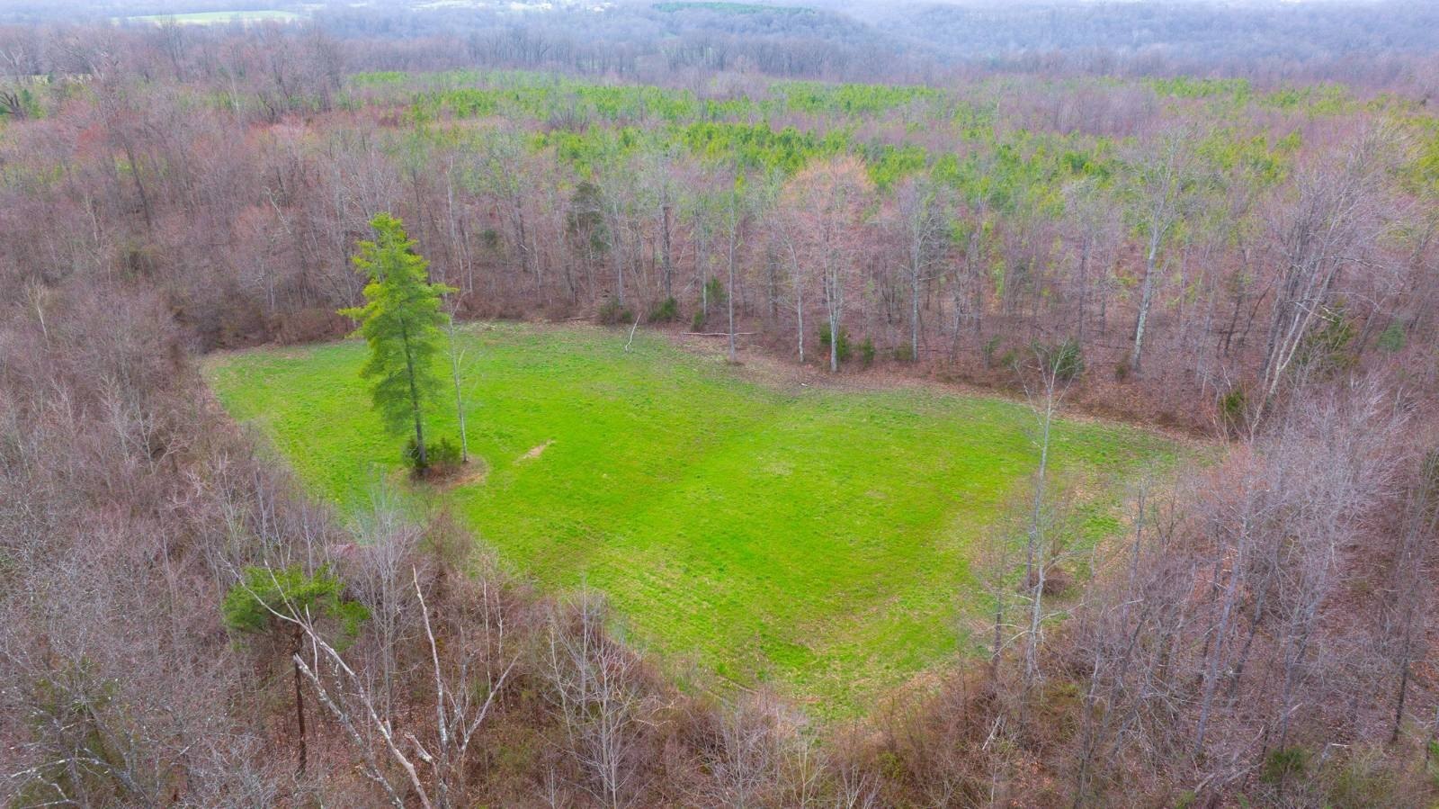 Ross County Vacant Land Opportunity
