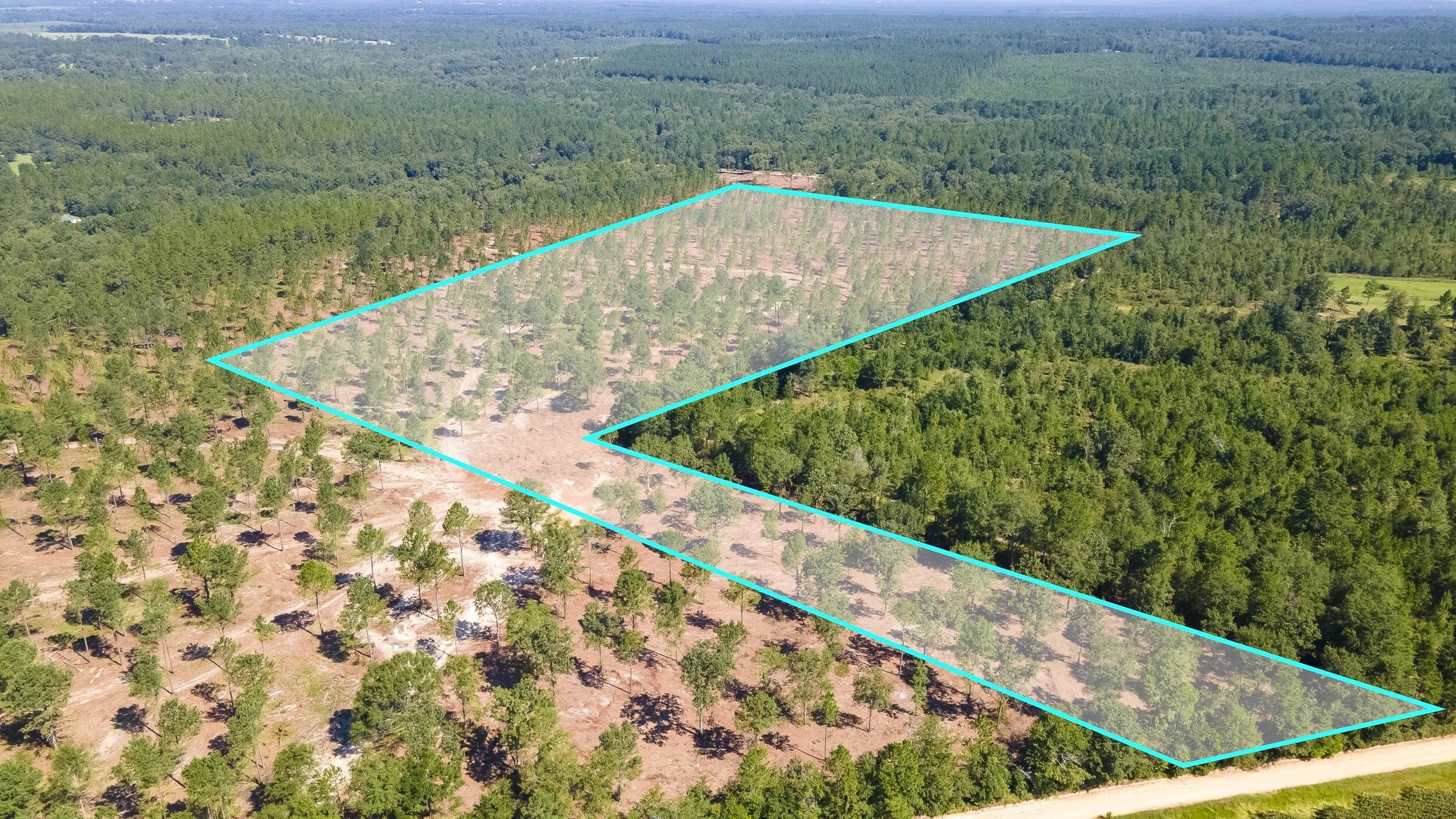 Aiken County Land Parcel