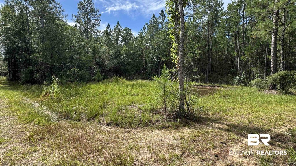 Picture 10