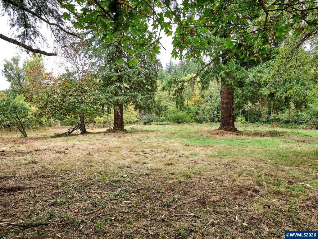 Picture 12