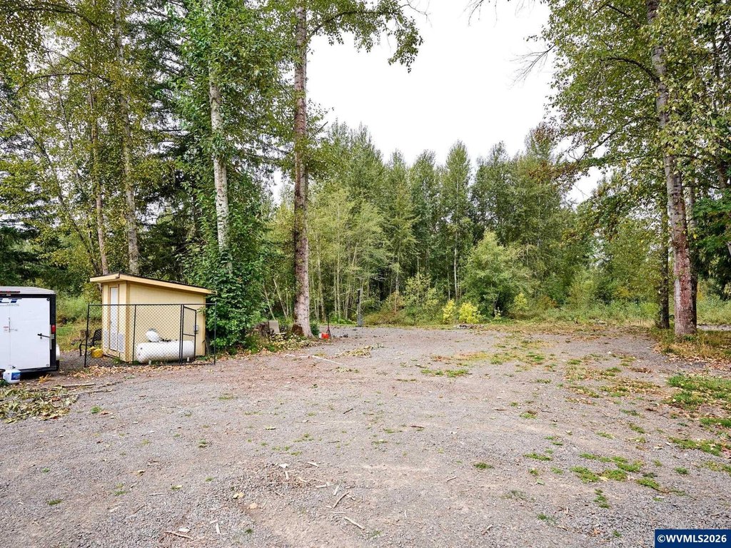 Picture 17