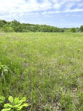 Rolling Agricultural Land