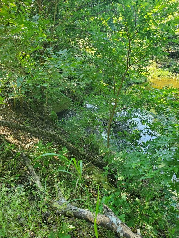Picture 22