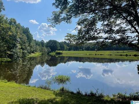 LAND - ALABASTER, AL